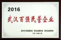 2016武漢百強民營企業