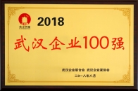 2018武漢企業(yè)100強(qiáng)